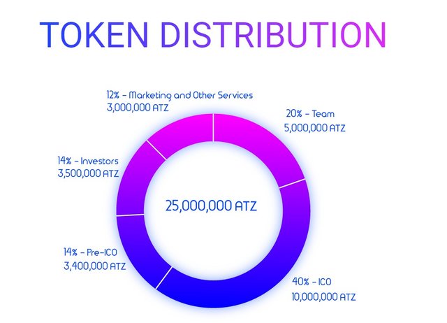 TOKEN DISTRIBUTION.jpg