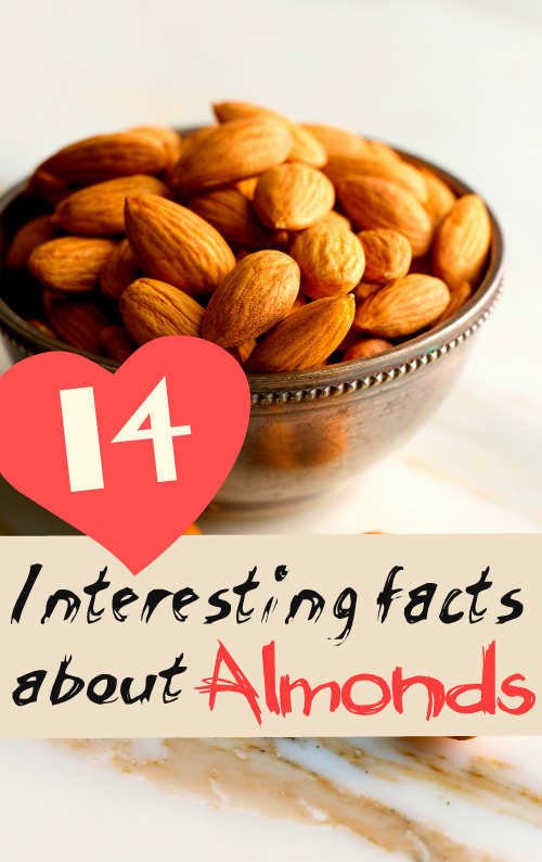 almonds.jpg