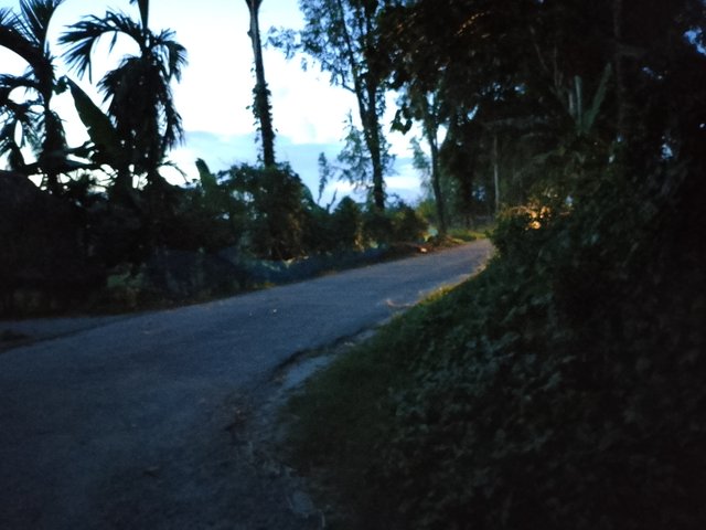 1000042903.jpg