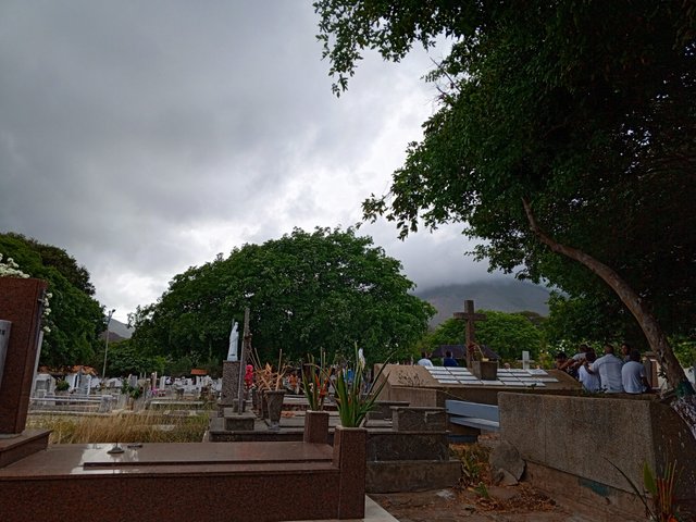 IMG_20250503_154122_785.jpg