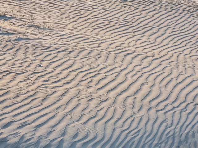 20250725_190327.jpg