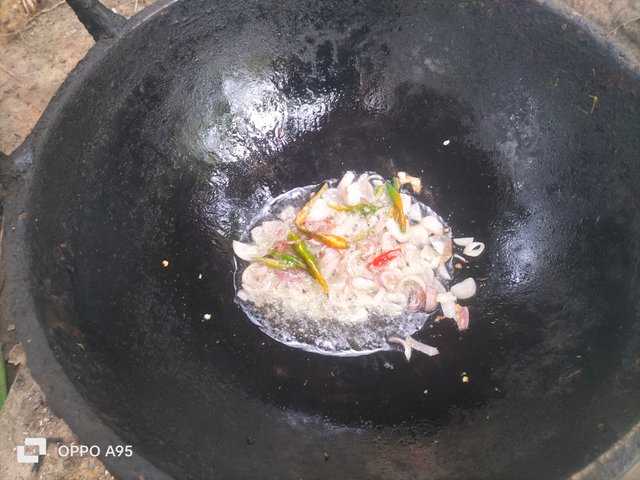 IMG20250610104810.jpg