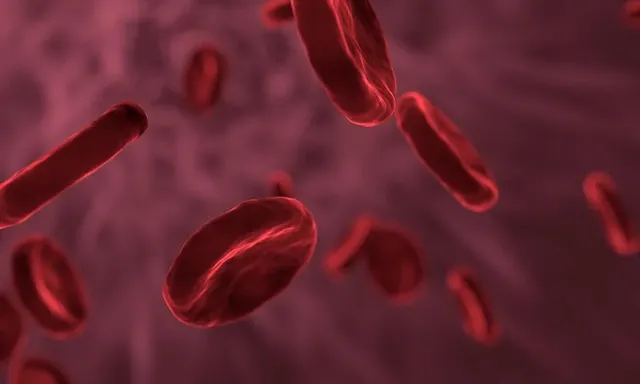 red-blood-cells-3188223__480.webp