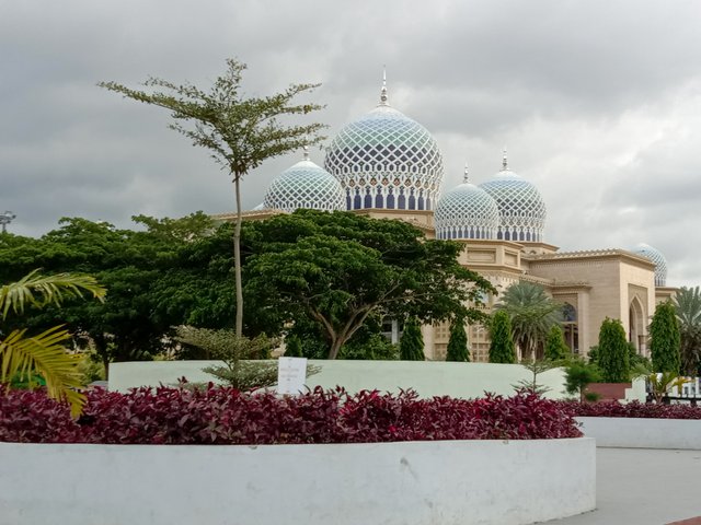 IMG_20250509_165559.jpg