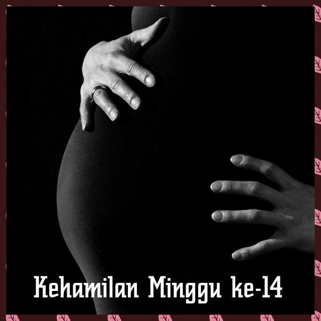 pregnancy-466129_1280_1.jpg