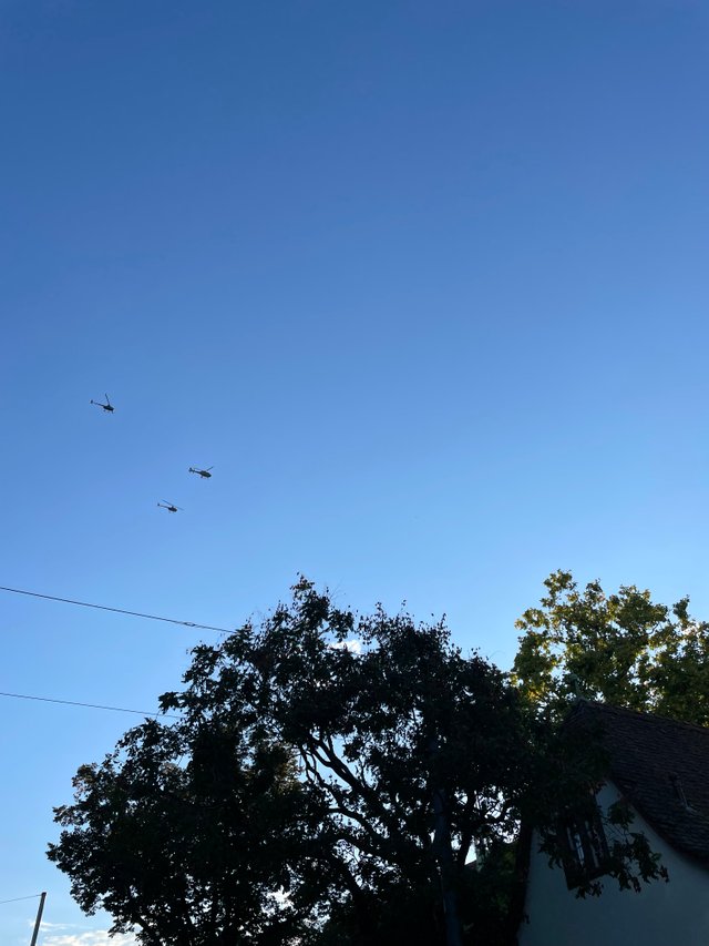 IMG_7866.jpeg