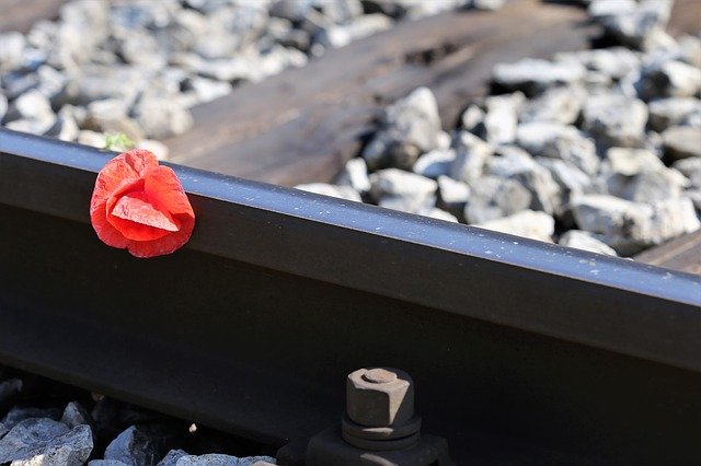 red-poppy-on-railway-3414272_640.jpg
