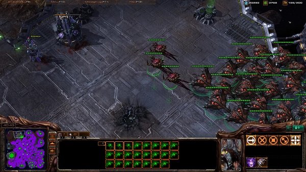 broodlord-sc2.jpg