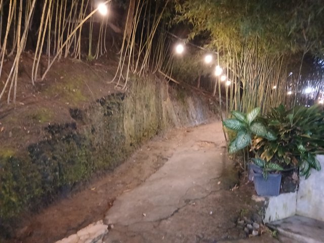 20250418_203853.jpg