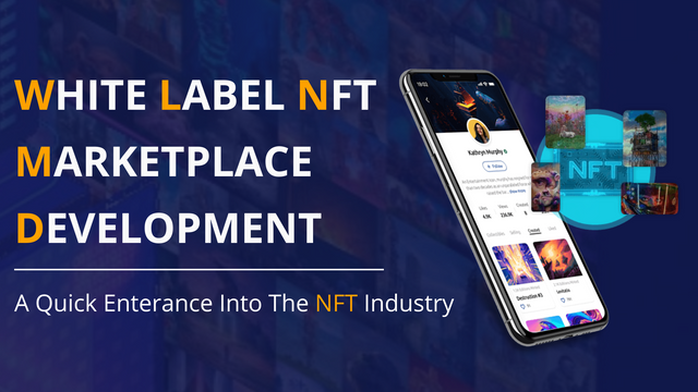 White label NFT marketplace development.png