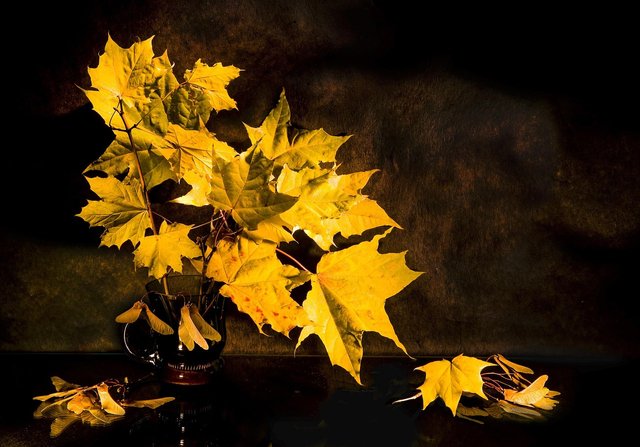 maple-5151516_1280.jpg