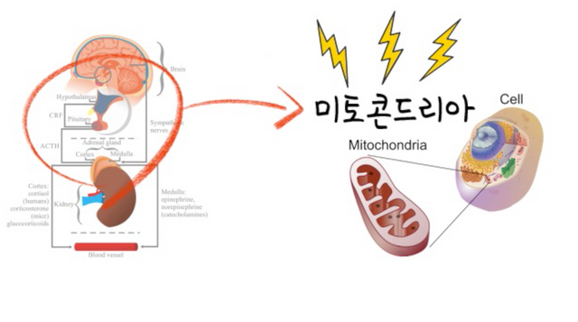 스크린샷 2020-02-06 오전 11.48.39.png