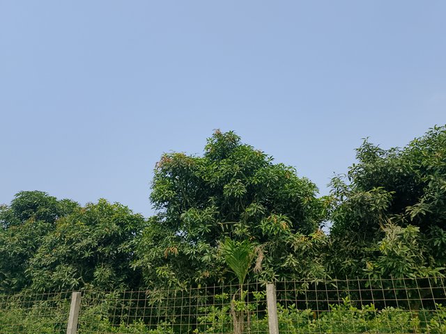 1000040967.jpg