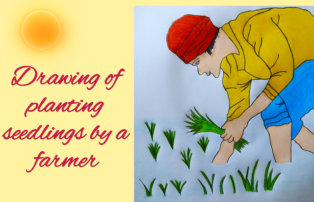 Drawing of planting seedlings by a farmer by @zisha-hafiz.png