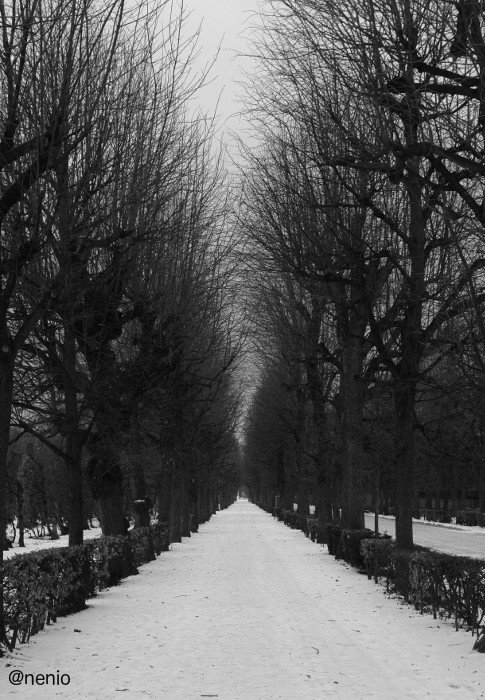 schoenbrunn-winter-03.jpg