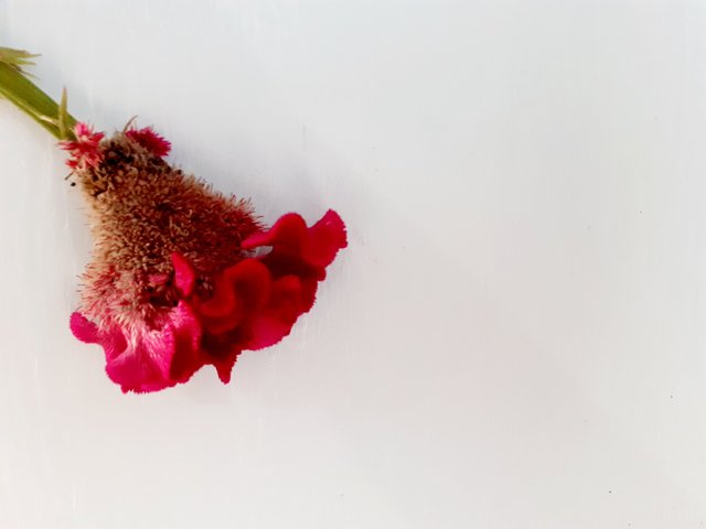 20250724_110321.jpg