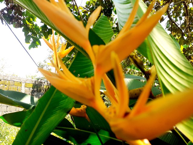 20250907_105642.jpg