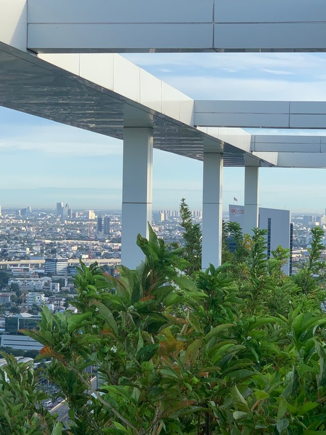 trees and buildings4.jpg