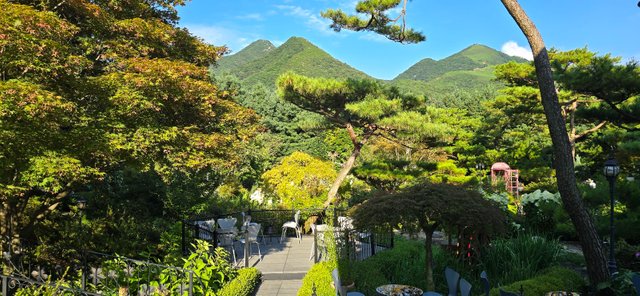 KakaoTalk_20240816_231446821_24.jpg