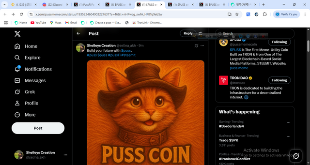 xp3.png