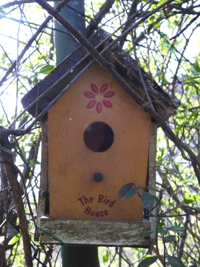 DSCN1236.JPG