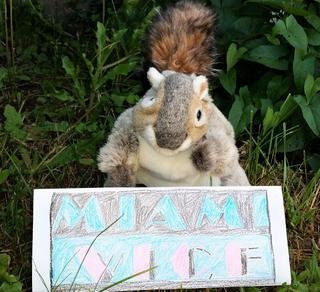 miami_squirrel.jpg