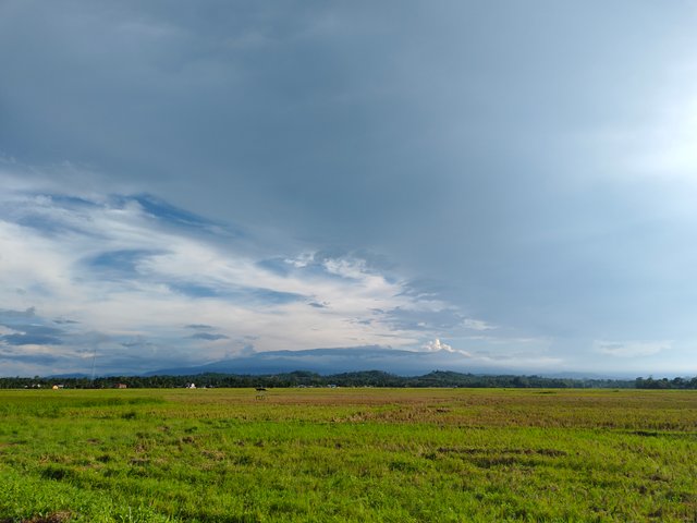 1000027724.jpg
