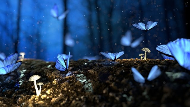 fantasy-g63adc448a_1280.jpg