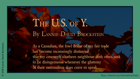 Video - Lannie Brockstein - The US of Y - 01 - snap photo - 01.png