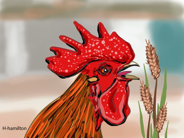 rooster(687).jpg