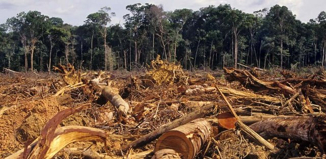 global-deforestation.jpg