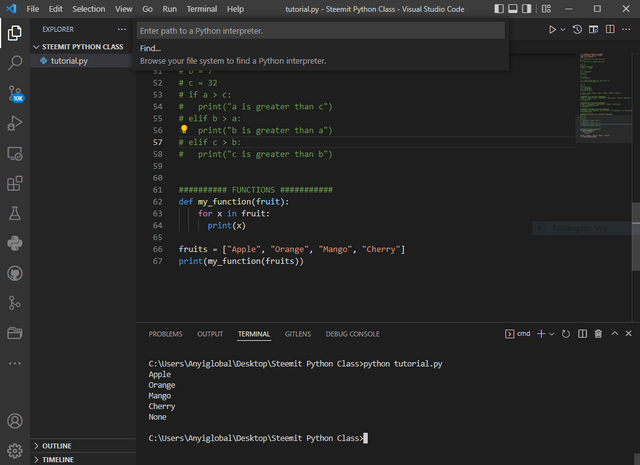 python function list parameter.PNG