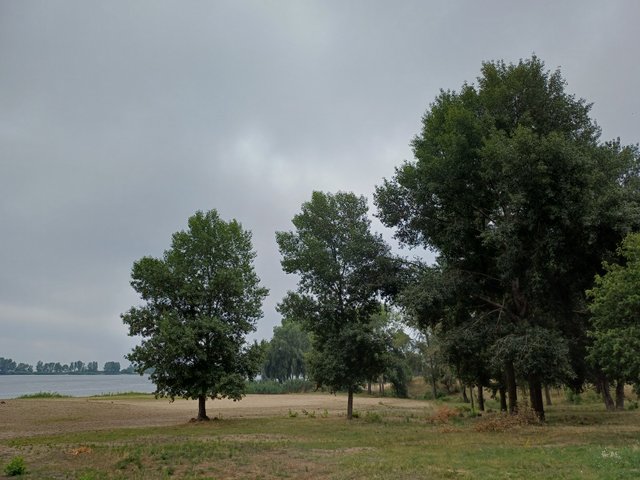 20250723_074021.jpg