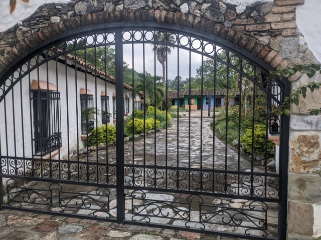 PXL_20250510_092624486.jpg