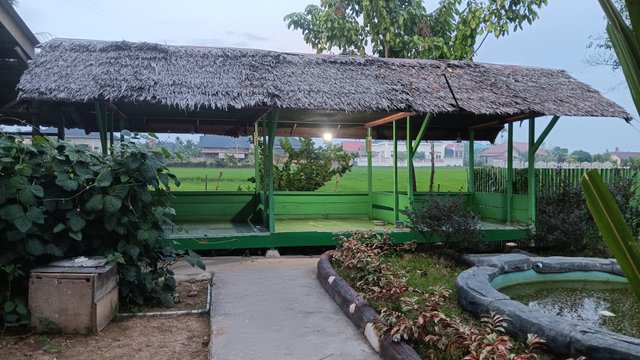 20250618_184041.jpg