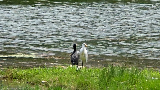 20250723_115753.jpg