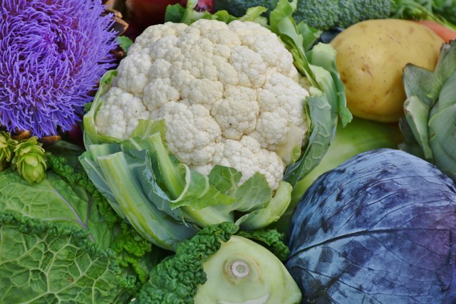 cauliflower-food-fresh-209426.jpg