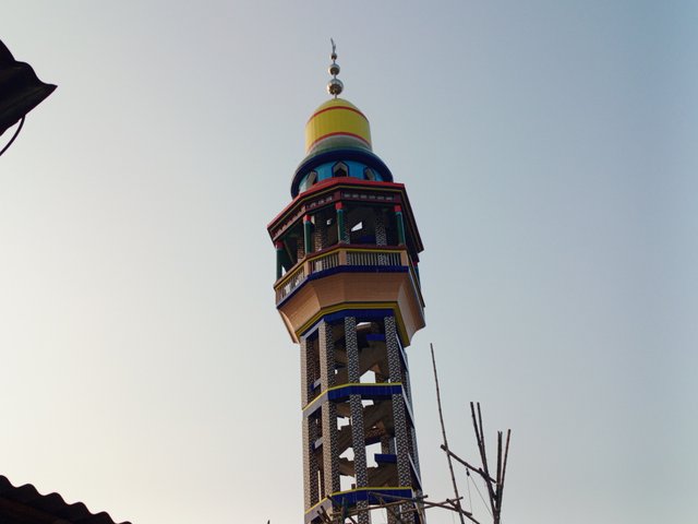 1000140972.jpg