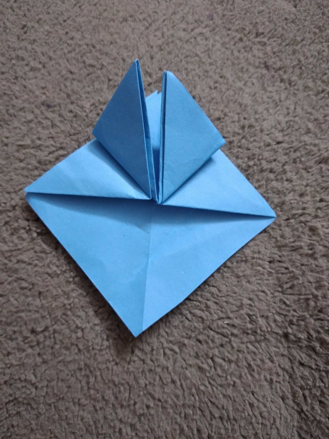 20250524_221750.jpg