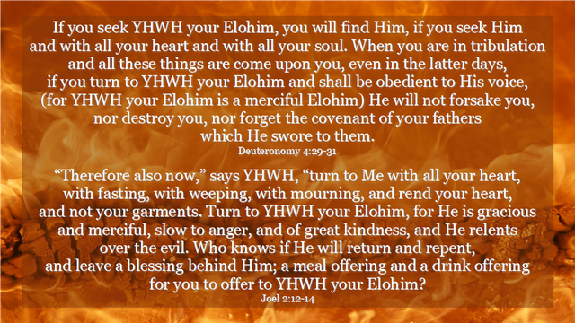 Shabbat Shalom 1-15-2021.png