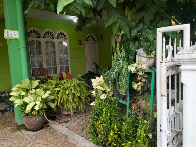 IMG20250408180721.jpg