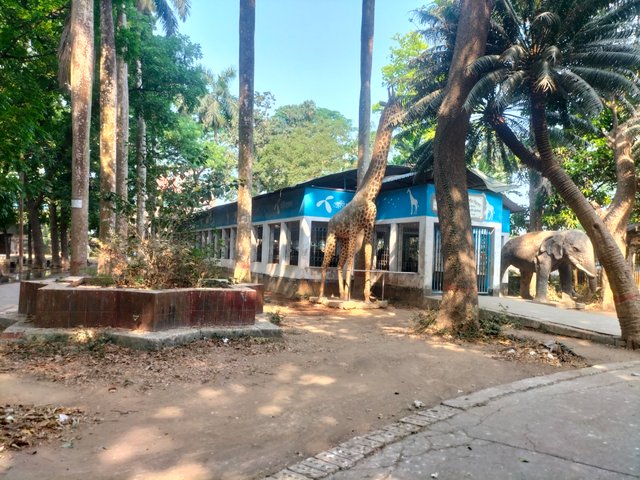 IMG20250409090537.jpg