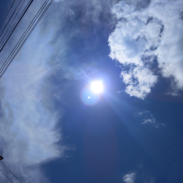 20250723_134621.jpg