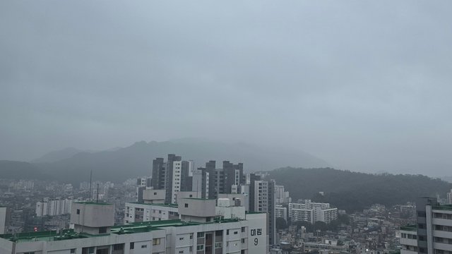 1000138038.jpg