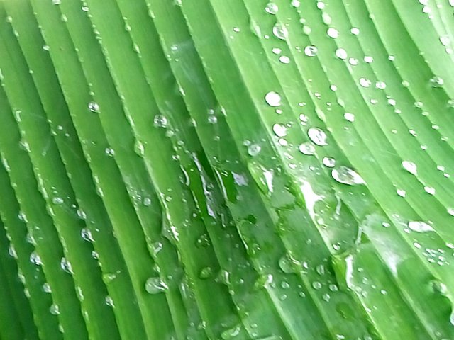 IMG_20250405_85654.jpg