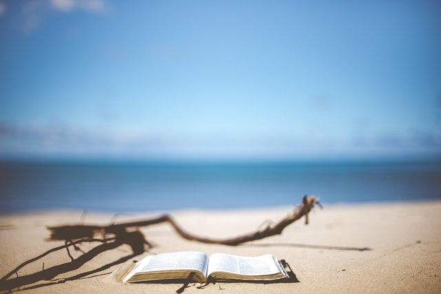 beach-gd123877b4_1280.jpg