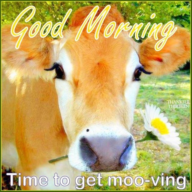 168493-Good-Morning-Time-To-Get-Moving.jpg