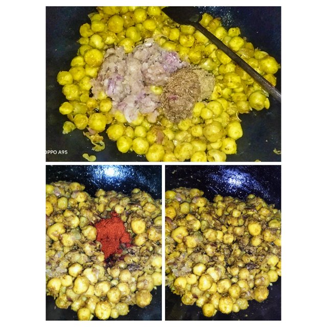 PhotoCollage_1747480568437.jpg