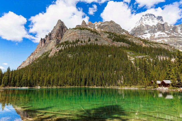 kanada-britisch-kolumbien-yoho-nationalpark-lake-ohara-wiwaxy-peaks-und-mount-huber-FOF005868.jpg