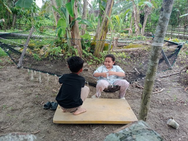 IMG20250522172026.jpg